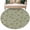 Green, variant on 2x3 Ft Entryway Area Rug, Sage Green Floral Kitchen Rug Runner Washable Floor Mat, Vintage Spring Botanical Flowers Non Slip Indoor Door Mat Throw Carpet for Bathroom Living Room Bedroom