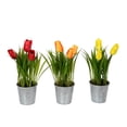 thumbnail image 1 of Tulipe Verte Assortie de 9,5 Po dans un Pot en Métal - Lot de 3, 1 of 1