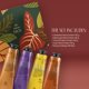 thumbnail image 3 of Paquete variado de crema de manos natura Ekos Quartet 40 ml x 4, 3 of 9