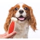 thumbnail image 3 of Juguete para Mascota Hartz Hueso Chew n Clean Mighty, 3 of 7