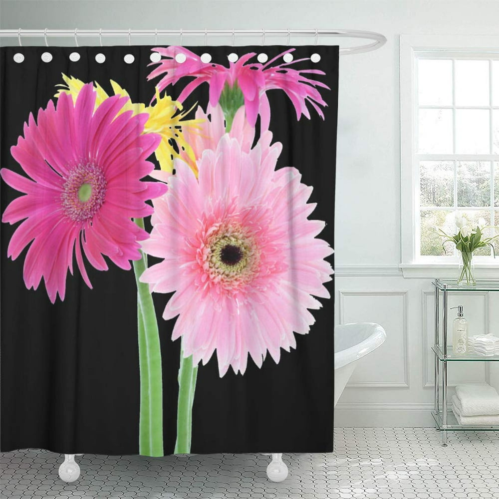 SUTTOM Daisy Daisies Pink Round Wedding Flower Gerbera Nature Floral