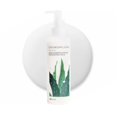thumbnail image 1 of CHUNGMIJUNG Leche limpiadora de fermentación de aloe Limpiador suave para la cara Hidratante Calmante Extracto de hoja de aloe barbadensis Todo tipo de piel Cuidado de la piel coreano 6.76 fl.oz. / 20, 1 of 5