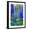 Black Frame, variant on Art.com Delphinium larkspur, VanDusen Botanical Garden, Vancouver, British Columbia, Canada. Photographic Print by William Perry, 12" x 18"