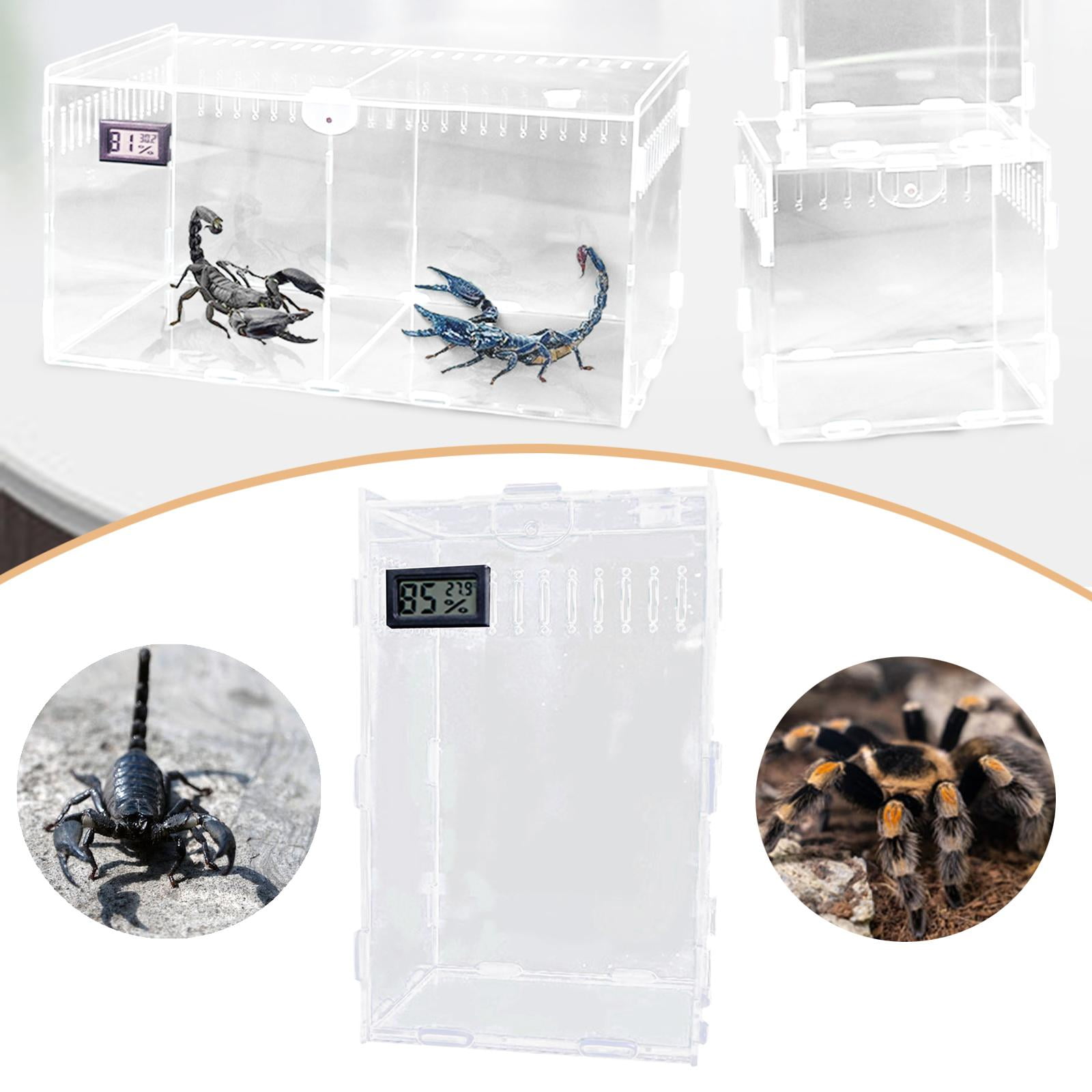 Reptile Enclosure Acrylic Tarantula Habitat Spider Cage DIY Ventilated Viewing for Hermit Crab Frogs M