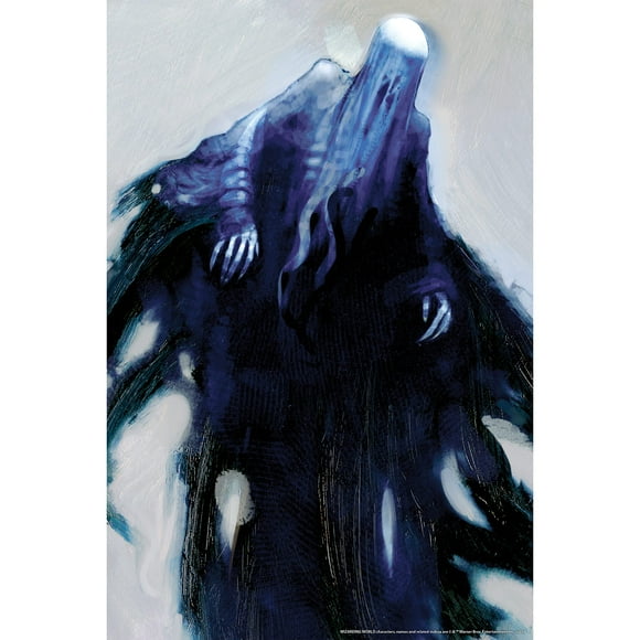 Cubierta decorativa para ventana Rubie's Harry Potter Dementors