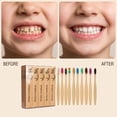 thumbnail image 1 of Pisexur Belleza Maquillaje Cepillos de dientes de cerdas medianas - Paquete familiar de 10 cepillos de dientes de maderapara mujeres y hombres, 1 of 9