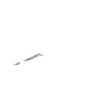 thumbnail image 2 of ZWILLING Pro 7 inch Filleting Knife, 2 of 2