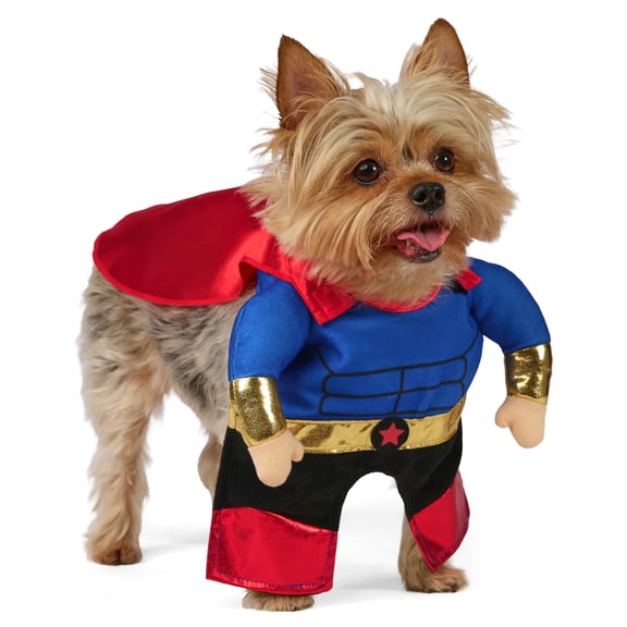 Vibrant Life Halloween Superhero Costume for Dogs and Cats, Multicolor, Extra Small