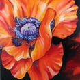 thumbnail image 2 of Baldwin, Marcia 26x26 White Modern Wood Framed Museum Art Print Titled - Heart Of A Red Poppy, 2 of 4
