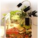 thumbnail image 4 of UVA UVB Luz para reptiles 25W UVA + UVB Lámpara solar de espectro completo Lámpara de calefacción UV para acuario de tortugas Lagarto de reptiles acuáticos, base E27/E26, 110V, 25W, paquete de 6, 4 of 5