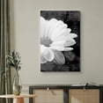 thumbnail image 2 of wall26 Canvas Print Wall Art Black &amp; White Daisy &amp; Cursive Typography Floral Botanical Photography Modern Art Rustic Scenic Relax/Calm Dark for Living Room, Bedroom, Office - 16"x24&quot, 2 of 5