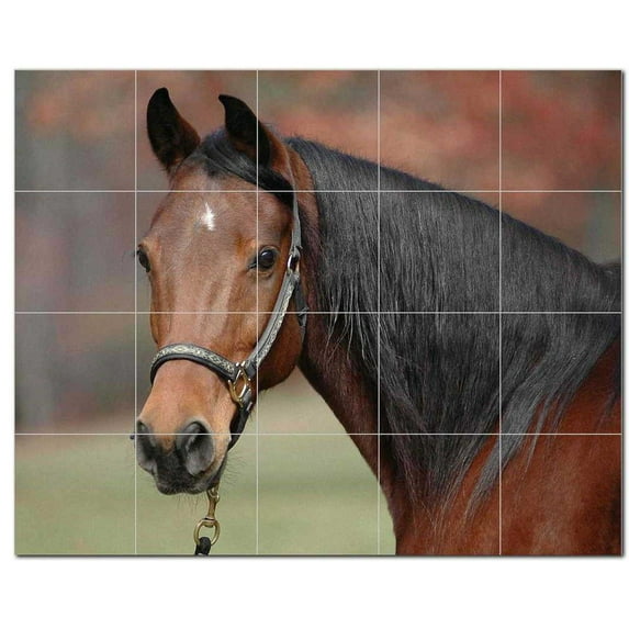 Horse Ceramic Tile Mural Kitchen Backsplash Bathroom Shower, 402829-M54
