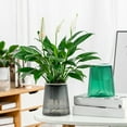 thumbnail image 2 of Pot de Fleurs Automatique Transparent Auto-Arrosant pour Bureau, 2 of 9