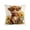 C, variant on FEOLGEHLY Highland Cow Patterns Decorative Throw Pillow Covers 18x18 in, Summer Removable and Washable Soft Cushion Covers for Couch Recliner Bed Living Room Home Decor, Machine Washable Durable (B)