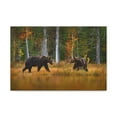 thumbnail image 1 of Spring Forest Bears Nature Wilderness Photography Canvas Wall Art for Home Decor Ready-to-Hang, 1 of 7
