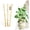 Fan-Shaped, variant on PETGLE 16" Natural Bamboo Plants Trellis U-Hoop,Bamboo Gaeden Trellis U-Shape for Climbing Plant Support-10PCS