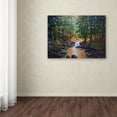 thumbnail image 3 of Trademark Fine Art 'Wooded Stream' Canvas Art by Paul Walsh, 3 of 3