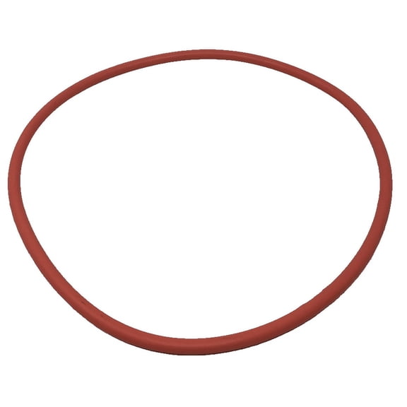 Pentair Seal Plate O-Ring Replacement Pool Part