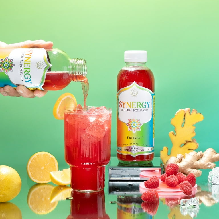 GT.S Synergy The Real Kombucha Trilogy 16 fl oz with Ginseng