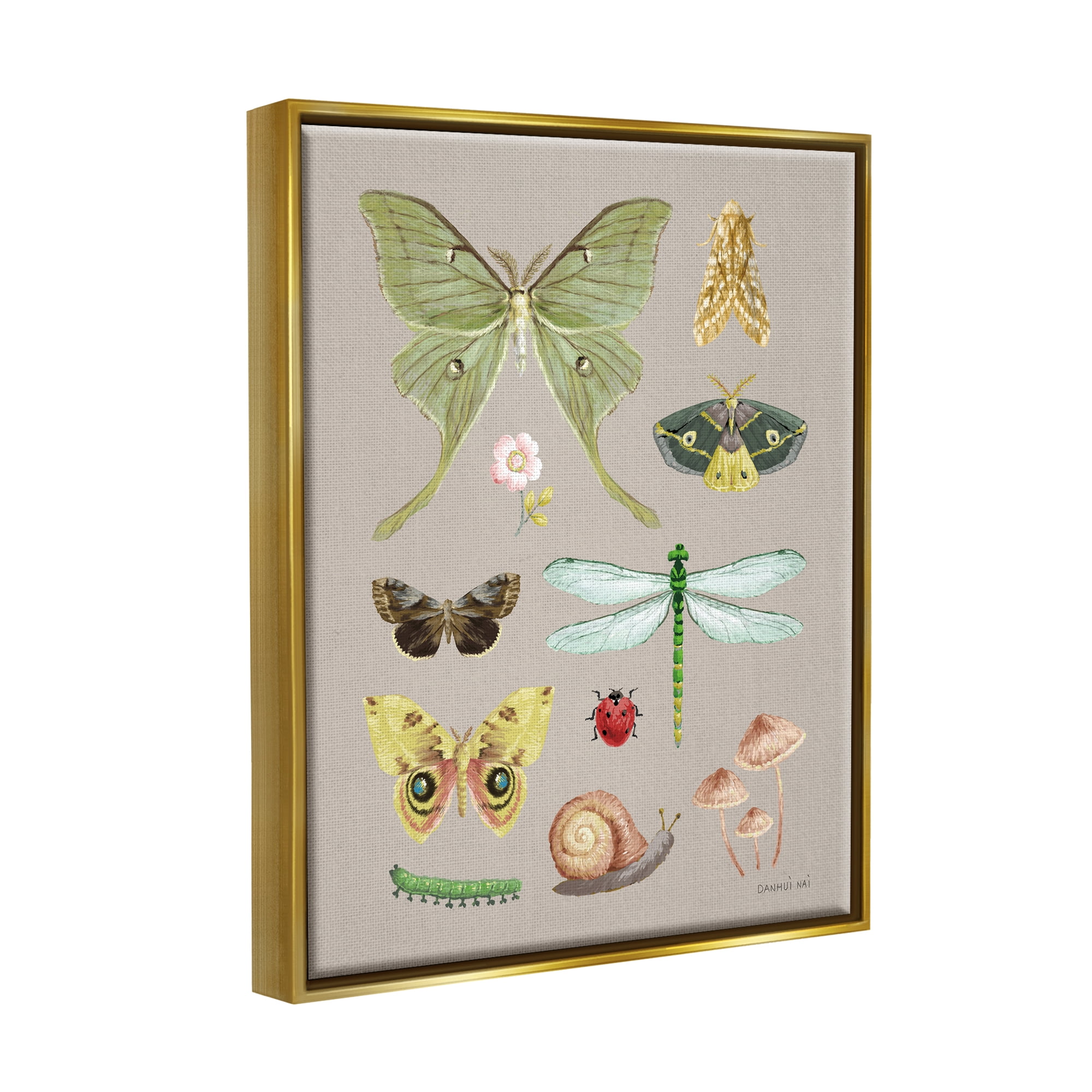 Stupell Industries Various Insect Studies Animals & Insects Painting Gold Floater Framed Art Print Wall Art, 25 x 31