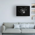thumbnail image 2 of Ferdinando Valverde 'Between Horns' Canvas Art, 2 of 4
