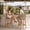 Teak, variant on PURPLE LEAF Outdoor Swivel Bar Height Stools Set of 2 Patio 360° Rotating All-Weather Wicker High Top Stools with Back and Cushion for Outside Backyard Kitchen Bistro Garden, Teak