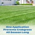 thumbnail image 2 of Preventor de malezas Scotts Halts contra crabgrass 9,1 kg 929 m², 2 of 9