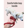 thumbnail image 3 of HAHDAXIA Soft Caribbean Cotton Ombre Rope Leash for Dogs, Handmade Dog Leash (Red), 3 of 7