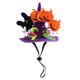 thumbnail image 2 of De Halloween Lindo Mascota Calabaza Gecko Sombrero Mascota Divertido Sombrero Para Cumpleaños Halloween Navidad Advancent HA045486-01, 2 of 6