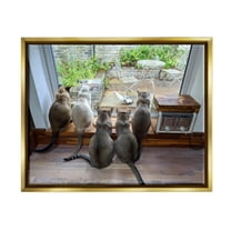 Stupell Industries Cats Watching Bird at Window Animals & Insects Photography Gold Floater Framed Canvas Art Print Wall Art, 31 x 25
