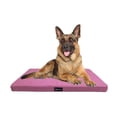 thumbnail image 2 of Tommy Roommie Cama perro Tommy Rosa G, 2 of 5