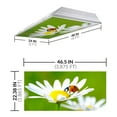 thumbnail image 2 of Octo Lights - Fluorescent Light Covers - 2x4 Flexible Ceiling Light Filters - For Classrooms and Offices - Flower 002, 2 of 6