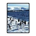 thumbnail image 1 of RYLABLUE Couverture en Polaire Pingouins Noirs 58x80 Pouces, 1 of 1