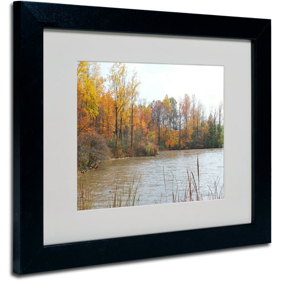 Trademark Fine Art "Just a Wonder" by Monica Fleet, Black Frame