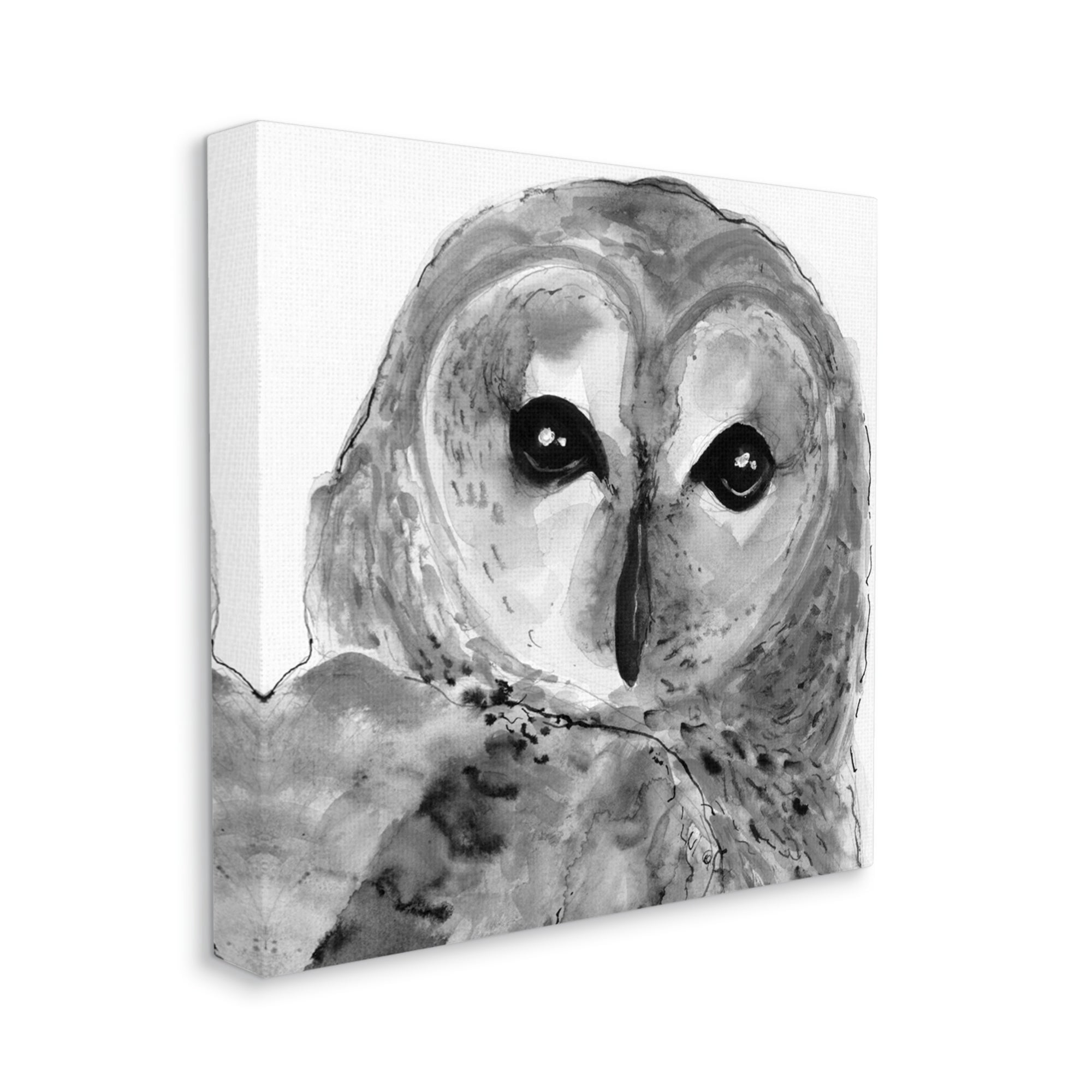 Stupell Industries Close Up Barn Owl Bird Gazing Ink Watercolor Painting Gallery Wrapped Canvas Print Wall Art, Design by Patti Mann