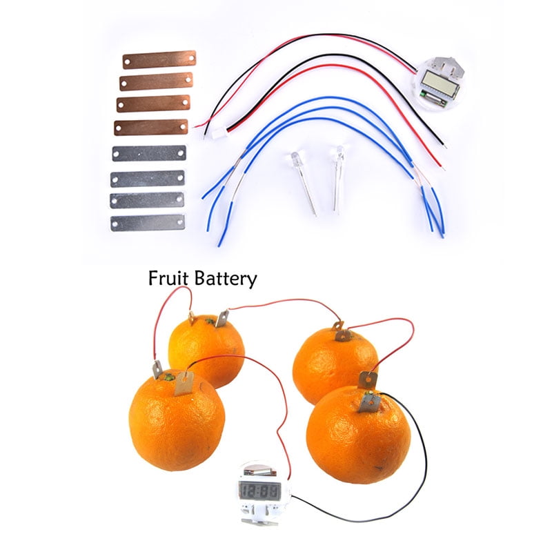 Bio Energy Science Kit Potato Fruit Supply Electricity Experiments
