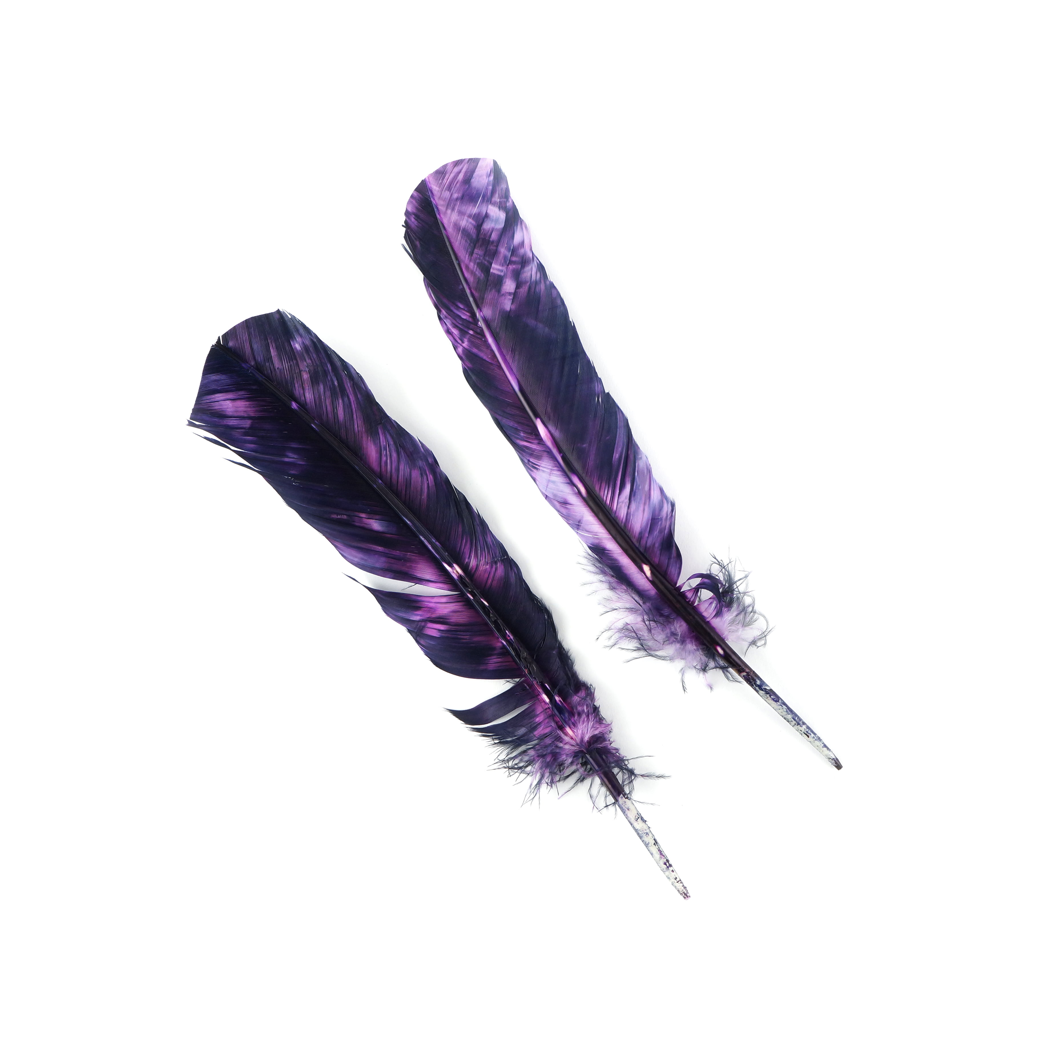 Zucker Purple/Gold/Green - Turkey Plumage Feathers .5oz