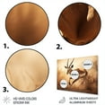 thumbnail image 3 of Designart "Africa Gazelles beauty" Animals Metal Wall Art, 3 of 5