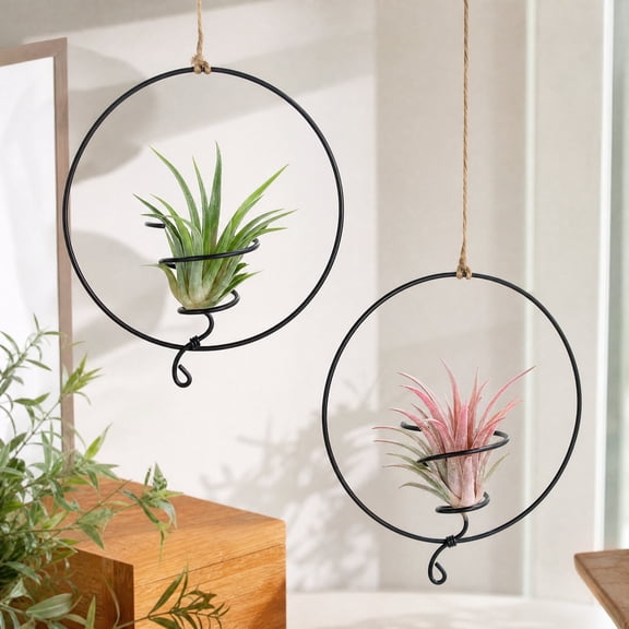 Doghiosgha 2 Pcs 5.3 Inch Metal Hanging Air Plants Holders Tillandsia Wall Ceiling Decor for Home Bedroom Boho Display