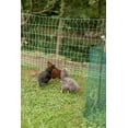 thumbnail image 4 of Starkline Premium Plus+ Braided 48" x 100' Poultry Netting, 4 of 5