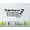 Black, variant on Decal ~ The more that you read, the more things you'll know: LRG Children's Wall Decal~ Popular Character Phrase~ Wall Decal (Black)