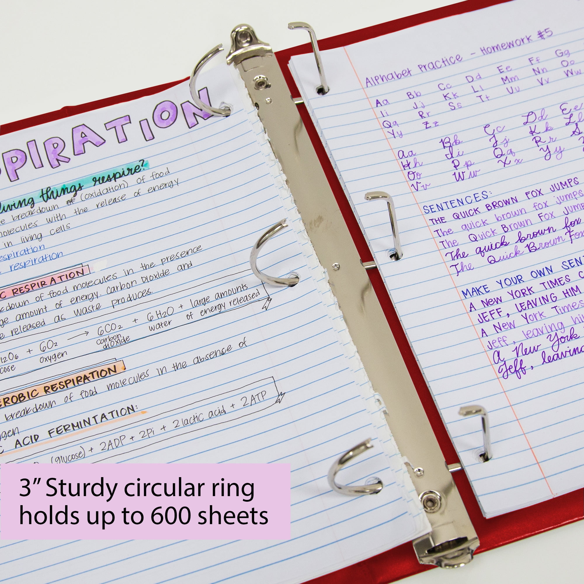 BAZIC 3 Ring Binder 3" View Binders Slant D Ring Burgundy, Hold 600 Sheets, 12-Count