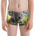thumbnail image 5 of Yiaed Daisy Koala Print Boys' Boxer Briefs Cotton Casual Stretch Comfort Boys Boxers - Kids Boxer Briefs Underwear for Boys (6-18)-XX-Small, 5 of 5