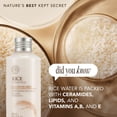thumbnail image 4 of Emulsión Hidratante Arroz y Ceramida the Face Shop para Todo Tipo de Piel, 4 of 8