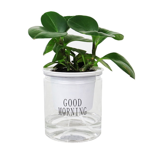 Plants Hydroponic Self-watering Flowerpot Flower Pot Automatic Water Absorption