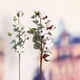 thumbnail image 5 of Ramo de flores artificiales de algodón, hojas de eucalipto, simulación de flores, para bodas, fiestas, decoración del hogar y habitaciones., 5 of 7