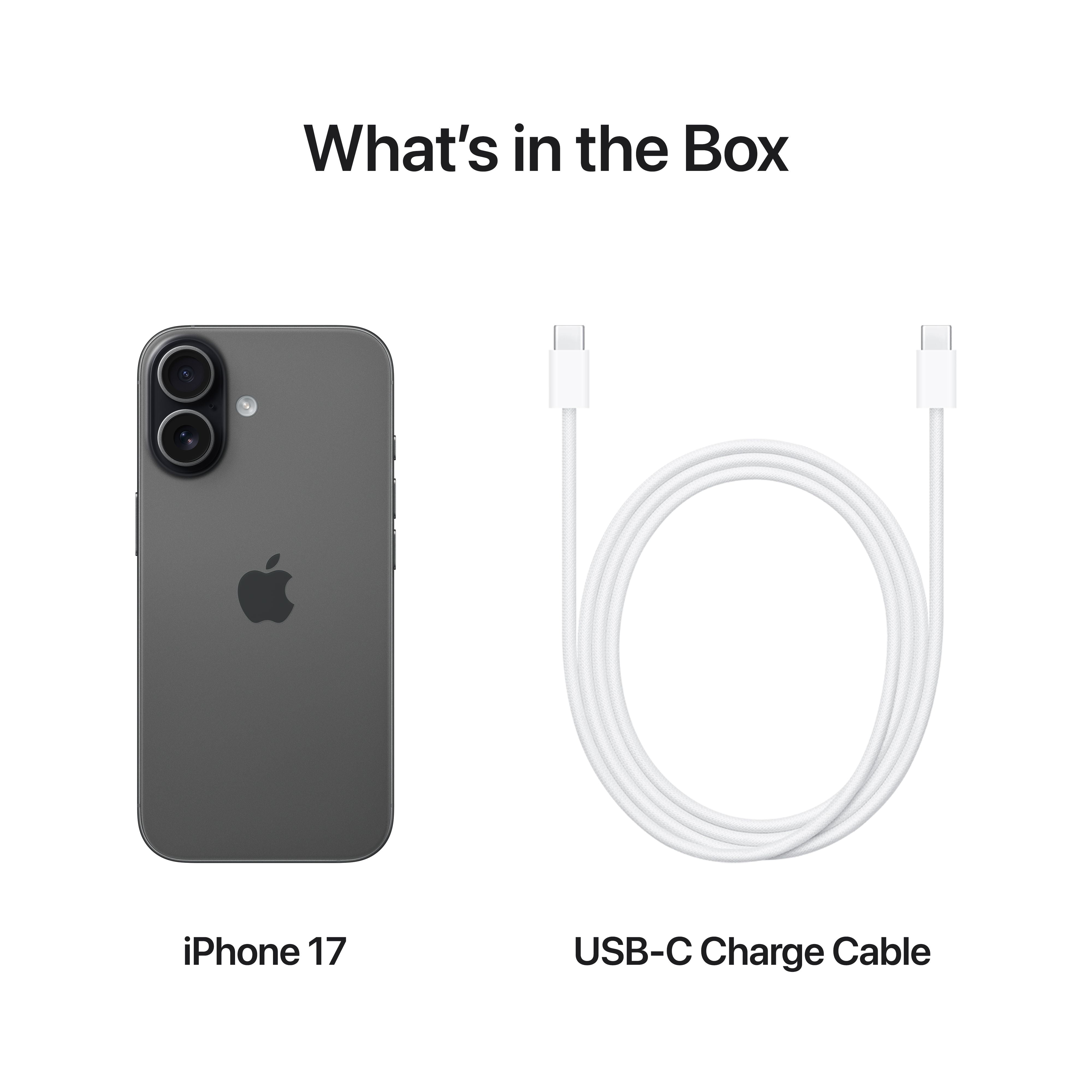 Verizon iPhone 17 512GB Black