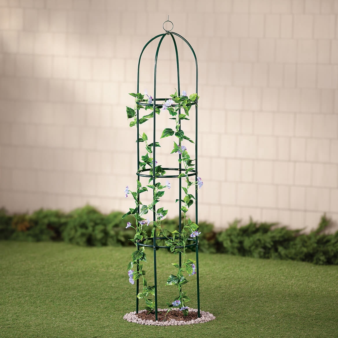 Garden Plant Trellis for Climbing Plants including Vines, Vegetables and Flowers – 75 in. H x 16 1/4 in. Dia – Durable Steel