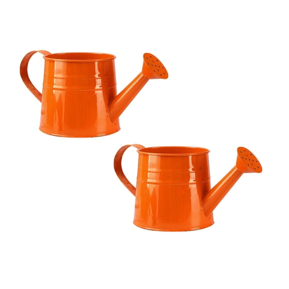 Galvanized Iron Watering Can 1L - Small Metal Watering Can for Indoor Outdoor Garden, Flowers, Pots, Lawn - Rust-Resistant Sprinkling Can with Comfortable Handle (Gardening Tool Accessory)