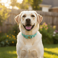 thumbnail image 5 of Camouflage Dog Collar Double-Ring Pet Collar Adjustable Outdoor Neck Strap for Small and Large Dogs Durable Heavy Duty Nylon Material for Training Walking Green, 5 of 5
